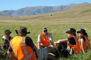 Al Brown takes on pest pines in the Mackenzie Basin