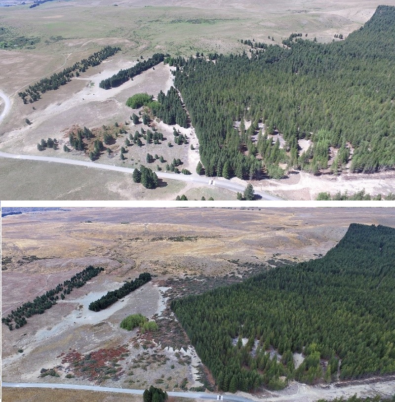 Godley Mt Hay Station Before and After