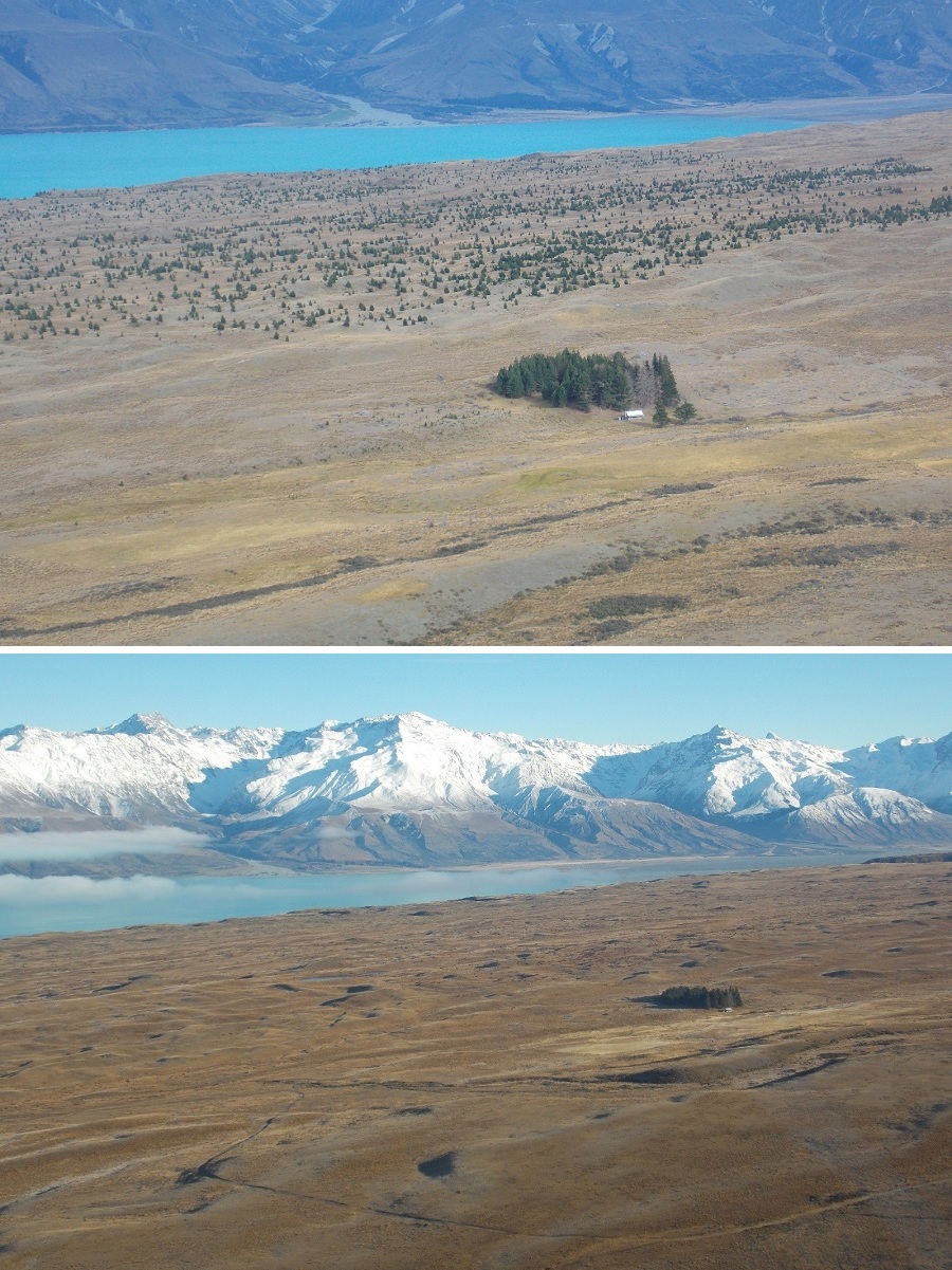 Tekapo West MU - Braemar Before and After